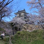 勢麟 - 桜咲く浜松城
