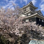 勢麟 - 桜咲く浜松城