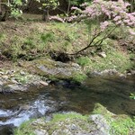 美山荘 - ウツギの映える桂川源流