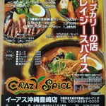 CRAZY SPICE - 