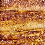 鮒兼 - ふっくらつやつや　日常 極上 特上です