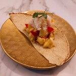 ジャーニー - ⚫アキー＆ソルトフィッシュ、クラブ コーントルティーヤ