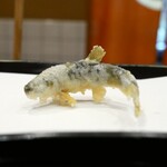 天ぷら はせ川 - 