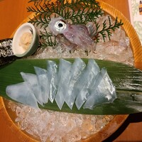 寅八商店 心斎橋店 -  寅八商店 心斎橋店 -