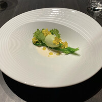 TOKi - 春の旨味の菜の花（菜の花、あさり出汁、山葵アイス）