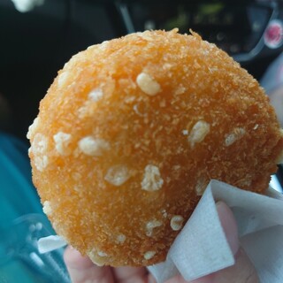 ミオ カミーノ アマクサ_0