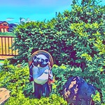 串焼き BUBU-TON - 