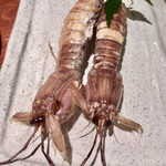 めしの助 - 子持ちしゃこ塩ゆで