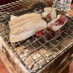 めしの助 - 炭焼き(ひいか、穴子)