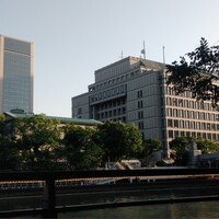 スミレオオサカ - 