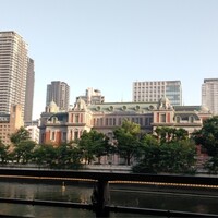 スミレオオサカ - 