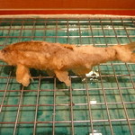 天ぷら 川辰 - 琵琶湖であがった