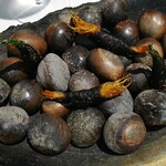 ラ・ヴァガボンド - 