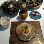 ラ・ヴァガボンド - 化石の上