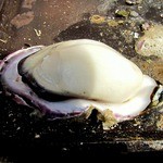 海鮮堂 - 焼牡蠣
