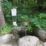 タヴェルナ トリフォッリオ - お店のすぐそばに湧く名水