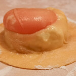 TATSUMI - ラヴィオローネの生地