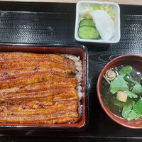 うなぎ 目白ぞろ芽 - 