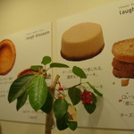 ラフブロッサム - 