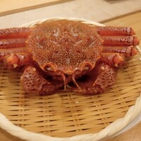 三宅輝 - 