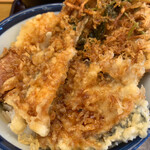 Tendon Tenya - 