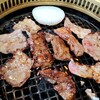 神田川グルメ館 - 料理写真:家族で焼肉はええもんですな。