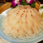 Pohan Sashimi - 