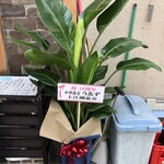 中華蕎麦 とみ田 - 16周年記念日