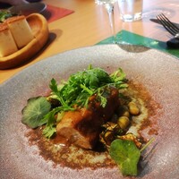 GLICINE di ACQUA PAZZA - 