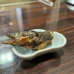 うなぎ 魚政 - 