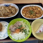 大衆食堂 半田屋 - チキンカツ煮、麻婆豆腐、唐揚げ、ツナサラダ、ケーキ