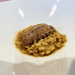 レストラン サンパウ - 蝦蛄のアロス メロソ(アロソは、お米という意味、メロソは、蜂蜜のようなとろみ、という意味だそうです。甲殻類の殻で取ったソースで。アルデンテよりはやや火が通っており、水分多めでとろみを表現しています。)