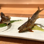 御料理 まつ山 - ・長野県 天竜川産 稚鮎、蓼酢、胡瓜のソース、西瓜