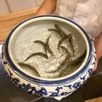 御料理 まつ山 - 長野県 天竜川産 稚鮎