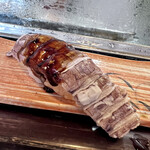 松野寿司 - 蝦蛄