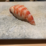 鮨 つぼみ - 車海老