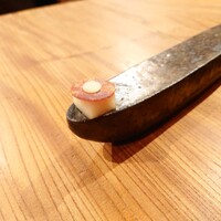マキノンチ - 