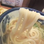 手打ちうどん　やまとなでしこ - 表面は細麺とあって少し溶けていましたが、コシの中にももっちりさが有って大好き♪　この麺！