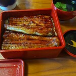 うなぎ亭 友栄 - うな重