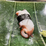 地魚料理・鮨 佐々木 - マダコ　パーフェクトでした