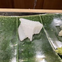 地魚料理・鮨 佐々木 - アオリイカ