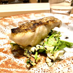 炎水 - 喉黒と春キャベツの炭火焼き　旨いに決まってますね