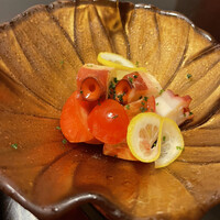 Potoro - 