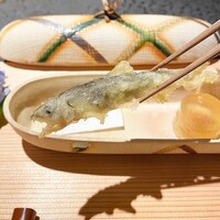 日本焼肉はせ川 別亭 銀座店 - 活天然稚鮎の天婦羅