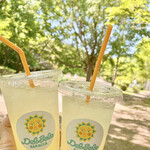 バラッカ・デル・ソーレ - ドリンクはレモンスカッシュとレモネード✧‧˚