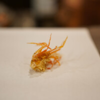 天白 - 才巻海老頭2