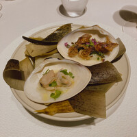 レフェルヴェソンス - 