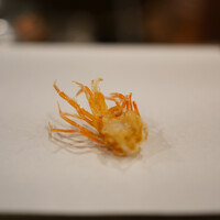 天白 - 才巻海老頭1