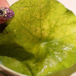 北新地 鮨 栞庵 やましろ - 蓮の葉です。