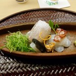 懐石料理 桝田 - お造り